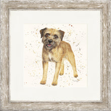 Load image into Gallery viewer, Biscuit
