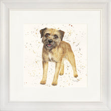 Load image into Gallery viewer, Biscuit