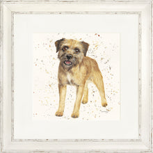 Load image into Gallery viewer, Biscuit