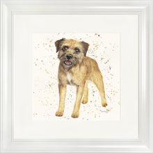 Load image into Gallery viewer, Biscuit