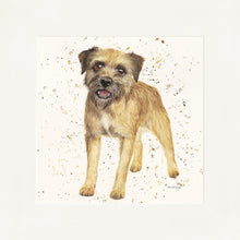 Load image into Gallery viewer, Biscuit