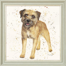 Load image into Gallery viewer, Biscuit