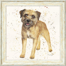 Load image into Gallery viewer, Biscuit