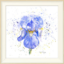 Load image into Gallery viewer, Blue Iris