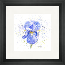 Load image into Gallery viewer, Blue Iris