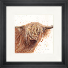 Load image into Gallery viewer, Bruce