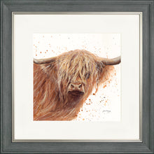 Load image into Gallery viewer, Bruce