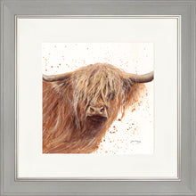 Load image into Gallery viewer, Bruce