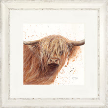 Load image into Gallery viewer, Bruce