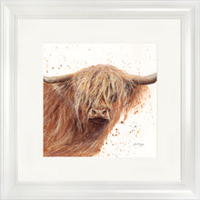 Load image into Gallery viewer, Bruce