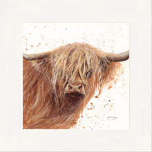 Load image into Gallery viewer, Bruce