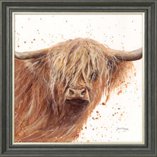 Load image into Gallery viewer, Bruce