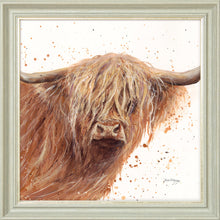 Load image into Gallery viewer, Bruce