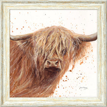 Load image into Gallery viewer, Bruce