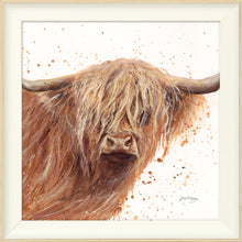 Load image into Gallery viewer, Bruce