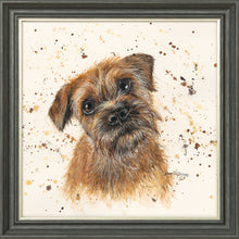 Load image into Gallery viewer, Buddy