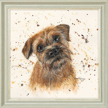 Load image into Gallery viewer, Buddy