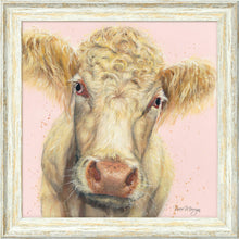 Load image into Gallery viewer, Buttercup