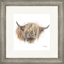 Load image into Gallery viewer, Cailin