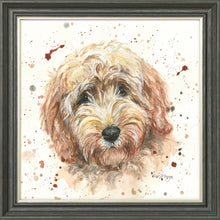 Load image into Gallery viewer, Candy