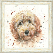 Load image into Gallery viewer, Candy