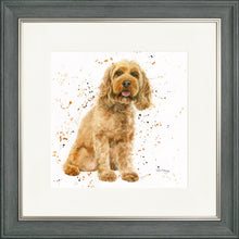 Load image into Gallery viewer, Carter