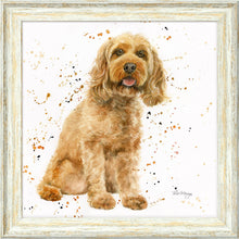Load image into Gallery viewer, Carter