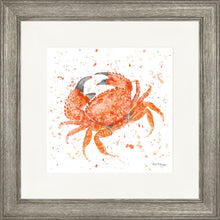 Load image into Gallery viewer, Claude