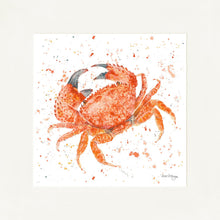 Load image into Gallery viewer, Claude