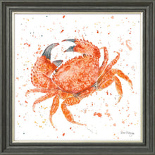 Load image into Gallery viewer, Claude