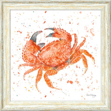 Load image into Gallery viewer, Claude