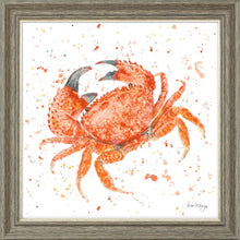 Load image into Gallery viewer, Claude