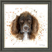 Load image into Gallery viewer, Coco