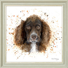 Load image into Gallery viewer, Coco