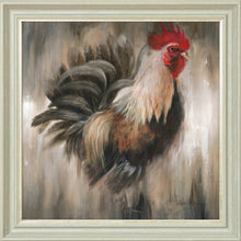 Load image into Gallery viewer, Colin