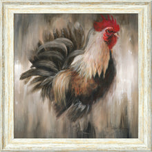 Load image into Gallery viewer, Colin