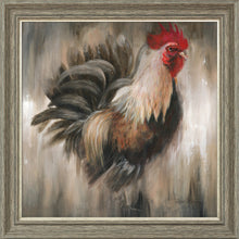 Load image into Gallery viewer, Colin
