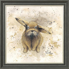 Load image into Gallery viewer, Colourful Benji