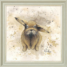 Load image into Gallery viewer, Colourful Benji