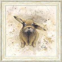 Load image into Gallery viewer, Colourful Benji
