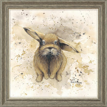 Load image into Gallery viewer, Colourful Benji
