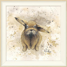 Load image into Gallery viewer, Colourful Benji
