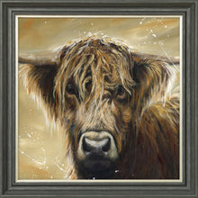 Load image into Gallery viewer, Colourful Hamish