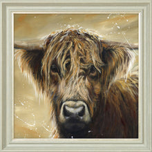 Load image into Gallery viewer, Colourful Hamish