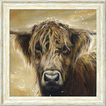 Load image into Gallery viewer, Colourful Hamish