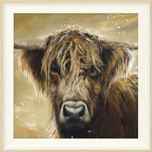 Load image into Gallery viewer, Colourful Hamish