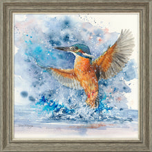 Load image into Gallery viewer, Colourful Kingfisher