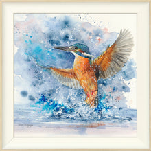 Load image into Gallery viewer, Colourful Kingfisher