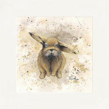 Load image into Gallery viewer, Colourful Benji