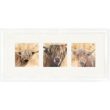 Load image into Gallery viewer, Colourful Coos